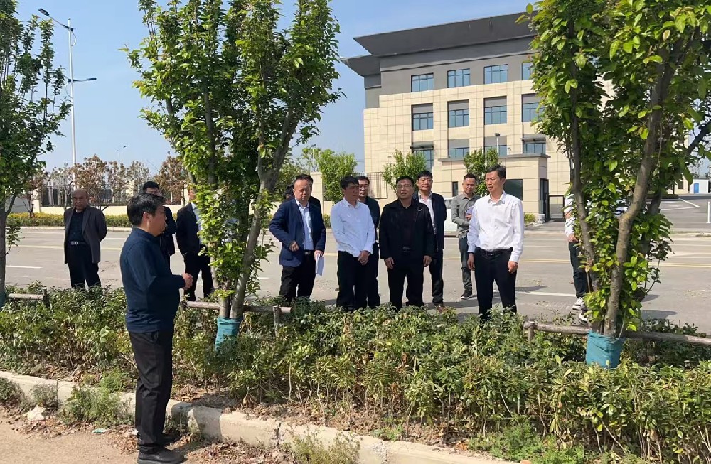 陳建華縣長一行蒞臨安徽華東綠色能源集團(tuán)有限公司廢鹽資源化利用項(xiàng)目現(xiàn)場調(diào)研指導(dǎo)